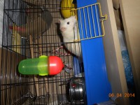 /album/fotogaleria/g-jpg/